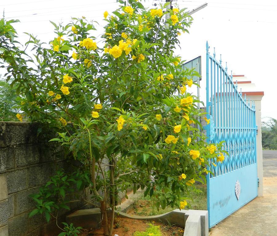 Stella Maris B&B Kanyakumari Dış mekan fotoğraf